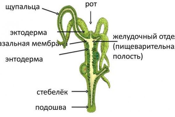 Kraken darknet market ссылка тор